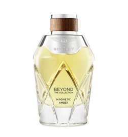 Magnetic Amber - Eau de Parfum Magnetic Amber - Eau de Parfum